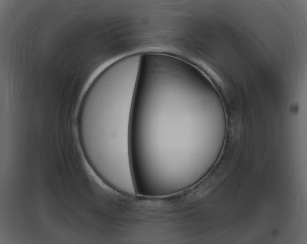 X0000097801468200803140725