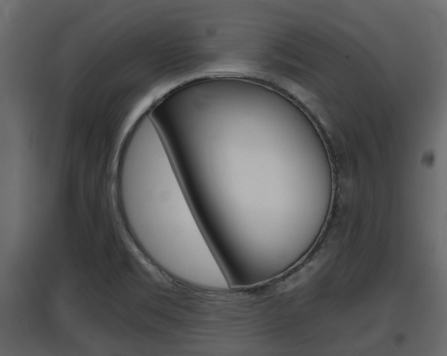 X0000097801469200803140725