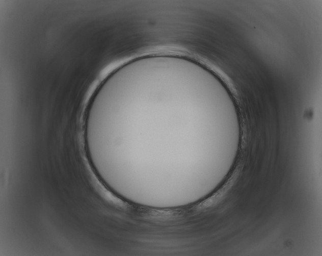 X0000097801470200803140725