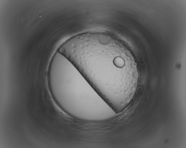 X0000097801471200803140725