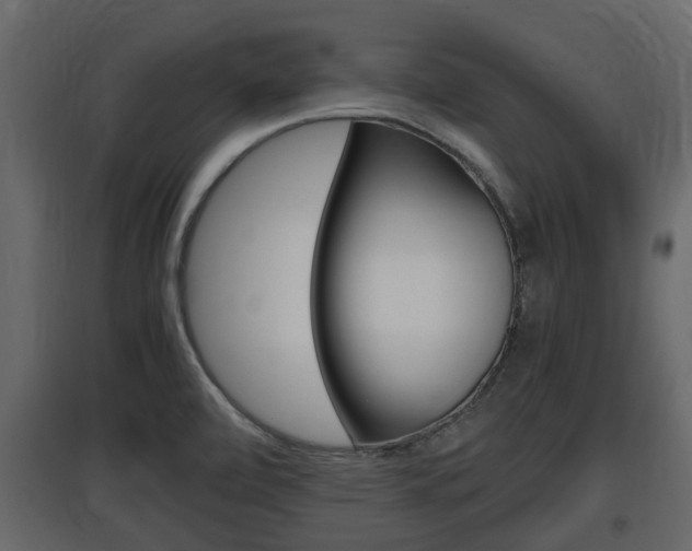 X0000097801472200803140725