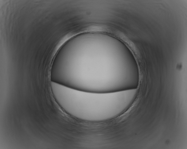 X0000097801473200803140725