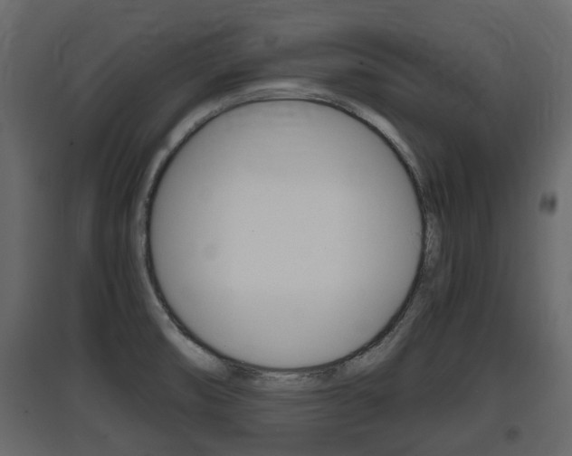 X0000097801474200803140725
