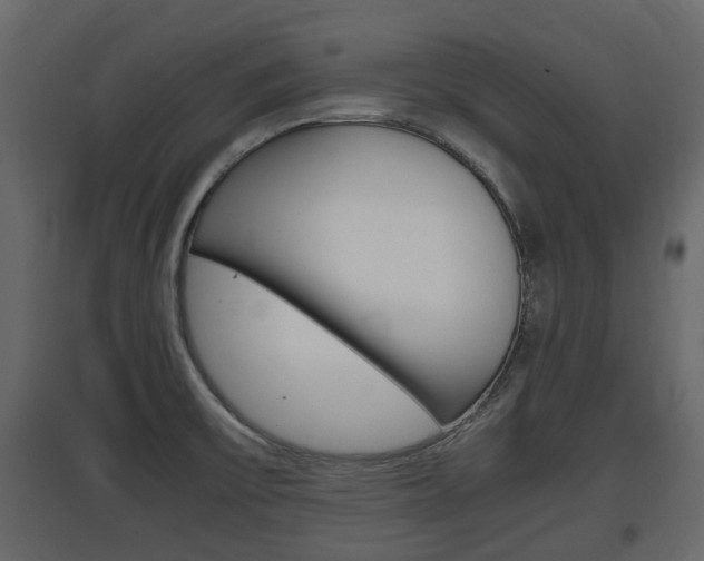X0000097801475200803140725