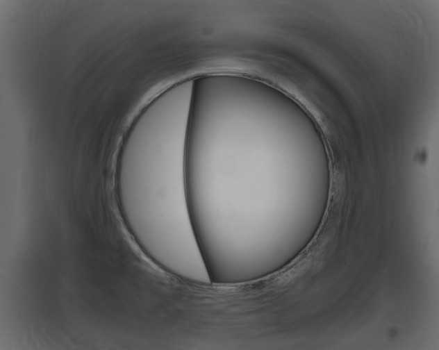 X0000097801477200803140725
