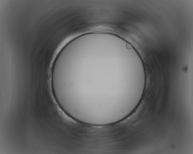 X0000097801478200803140725