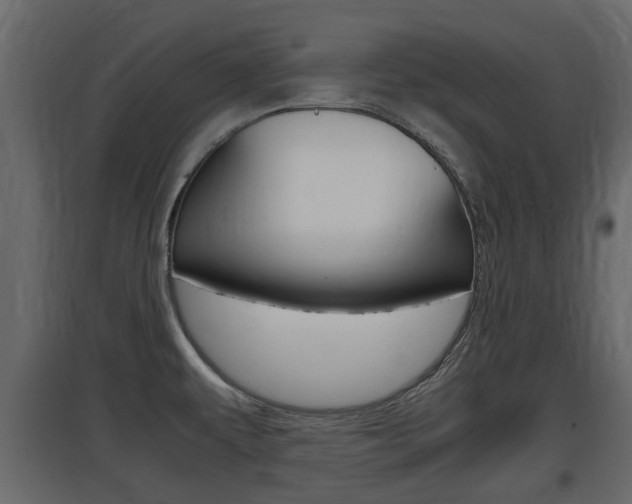 X0000097801479200803140725