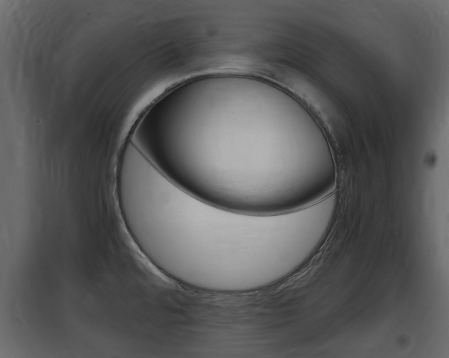 X0000097801480200803140725