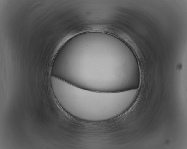 X0000097801481200803140725