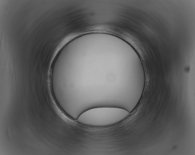 X0000097801482200803140725