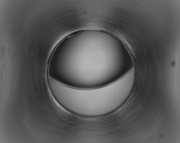 X0000097801484200803140725