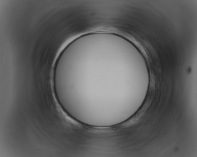 X0000097801486200803140725