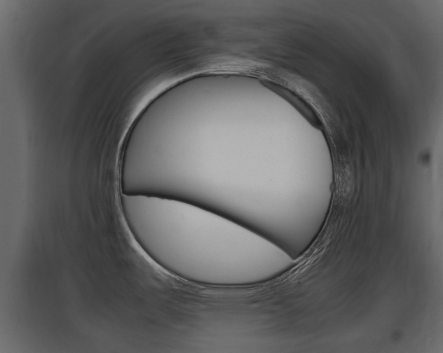 X0000097801487200803140725