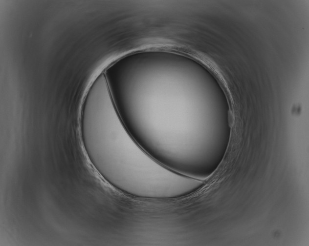 X0000097801488200803140725