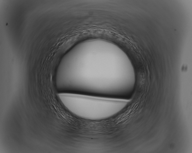 X0000097801489200803140724