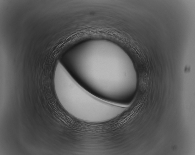 X0000097801490200803140724