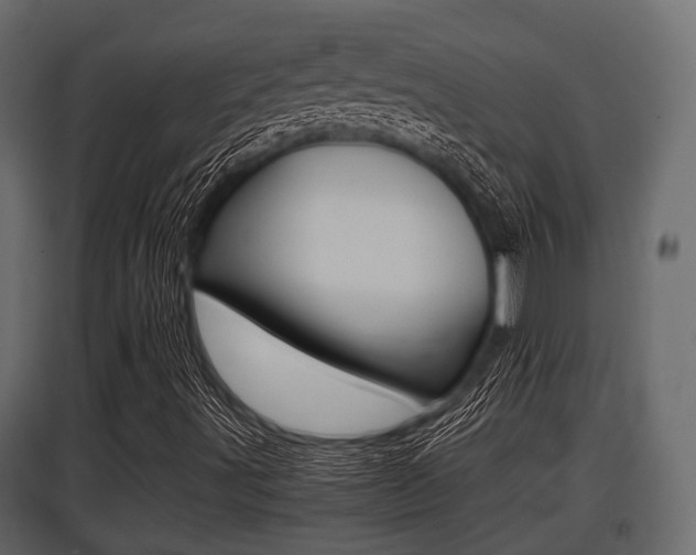 X0000097801491200803140724