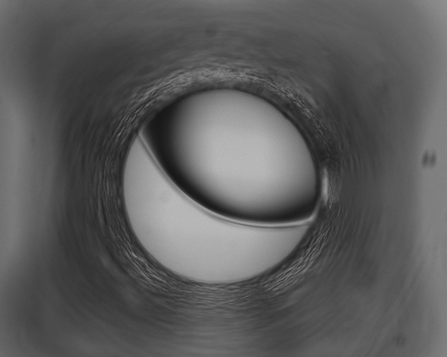 X0000097801492200803140724