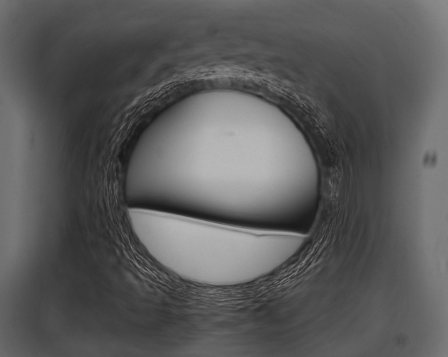 X0000097801493200803140724