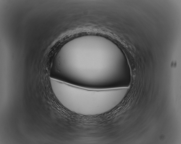 X0000097801495200803140724
