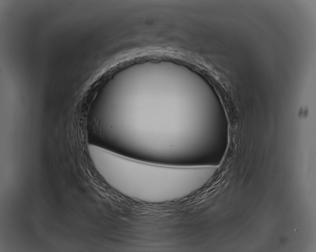 X0000097801496200803140724