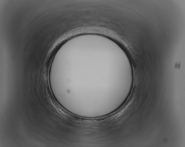 X0000097801498200803140724