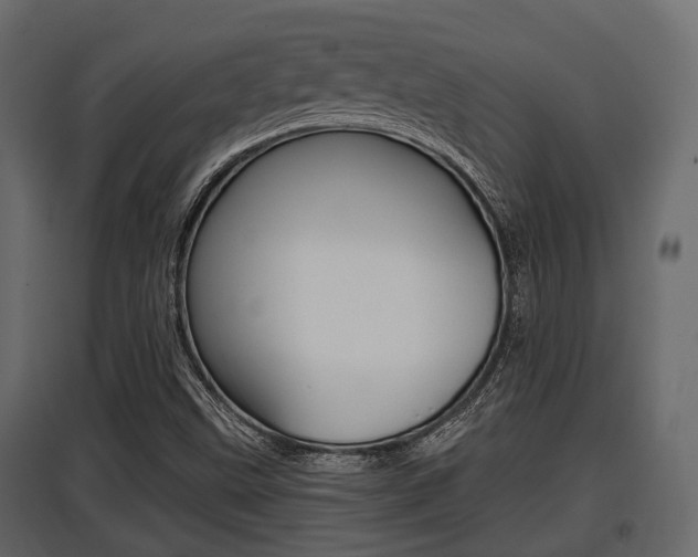 X0000097801499200803140724