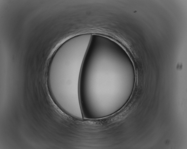 X0000097801500200803140724