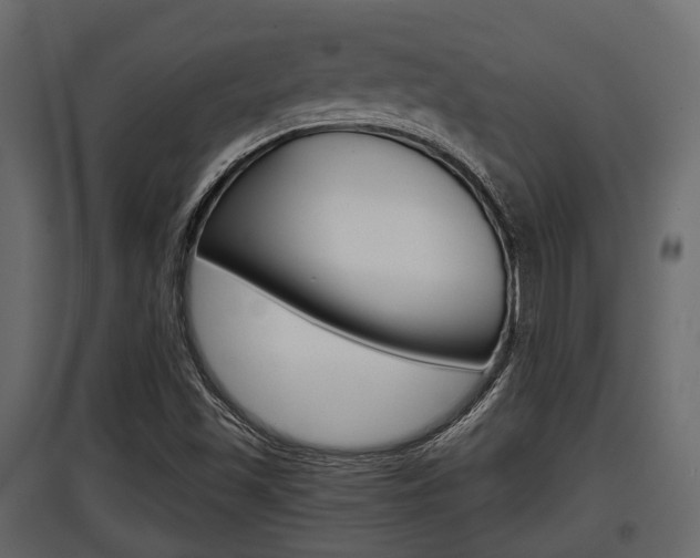 X0000097801501200803140724
