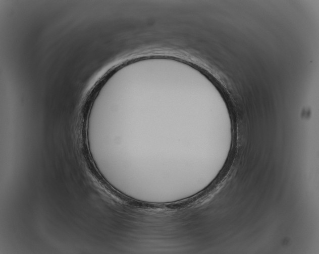 X0000097801502200803140724