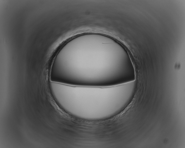 X0000097801503200803140724