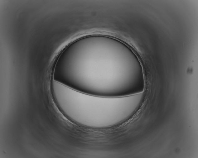 X0000097801504200803140724