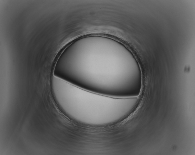 X0000097801505200803140724