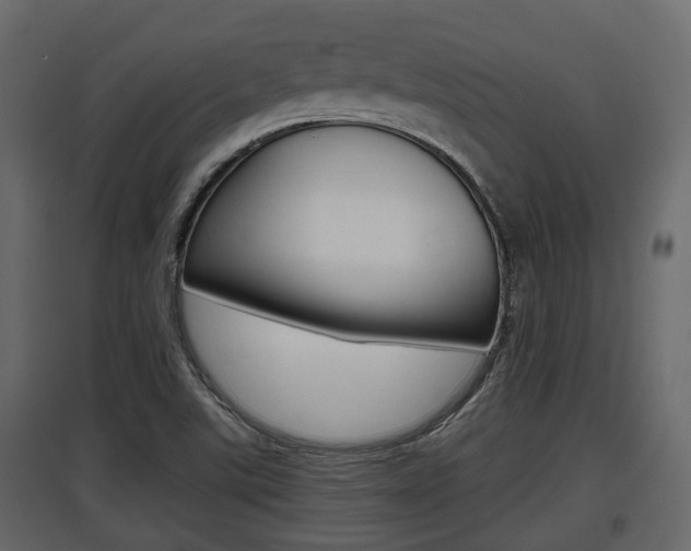 X0000097801507200803140724