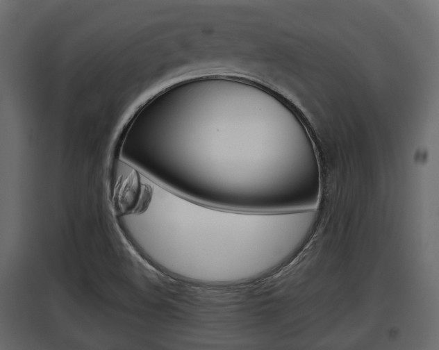 X0000097801508200803140724