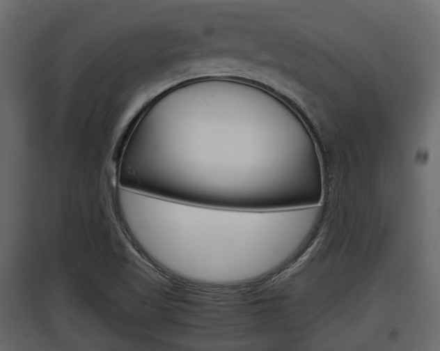 X0000097801509200803140724