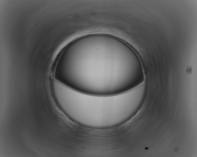 X0000097801510200803140724