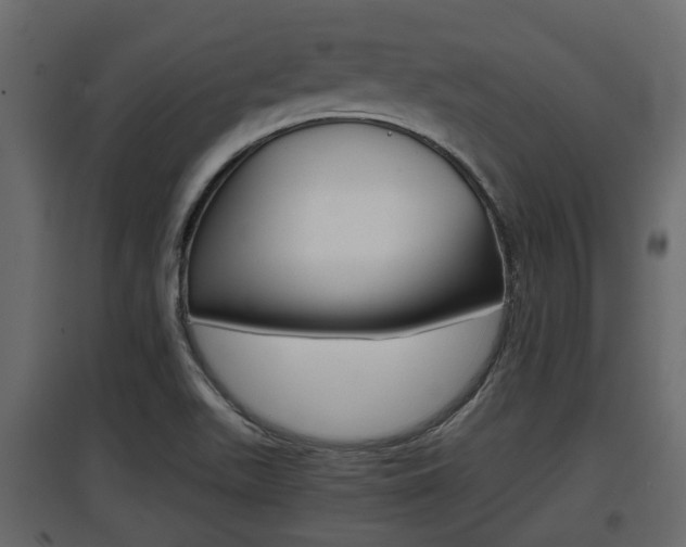 X0000097801511200803140724