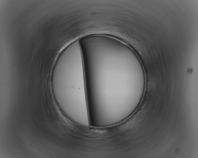 X0000097801513200803140724