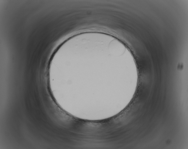 X0000097801514200803140724