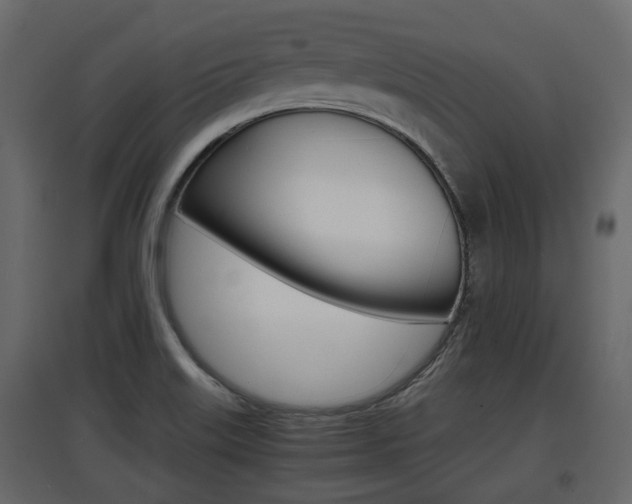 X0000097801515200803140724