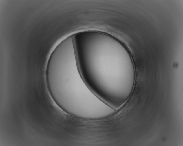 X0000097801516200803140724