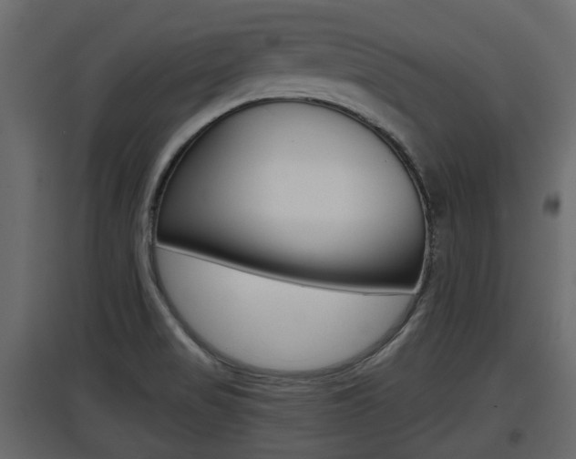 X0000097801517200803140724