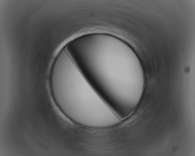 X0000097801518200803140724