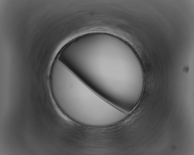 X0000097801519200803140724