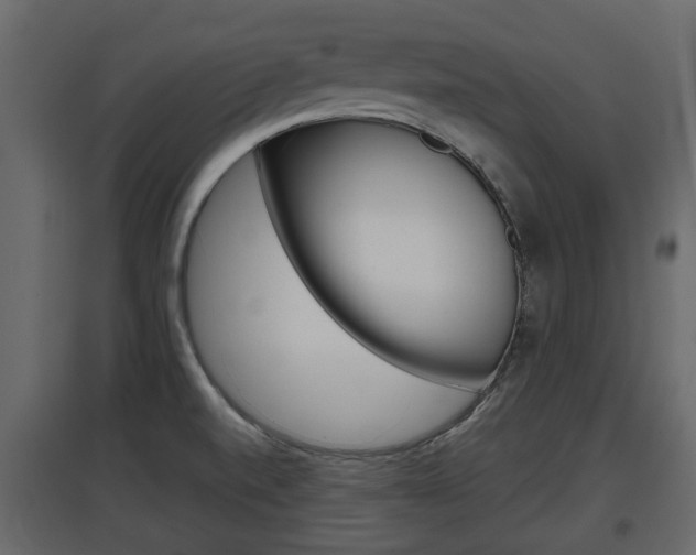 X0000097801520200803140724