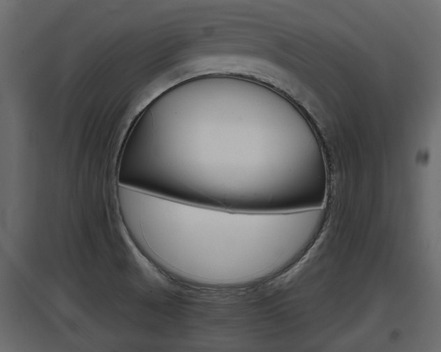 X0000097801521200803140724