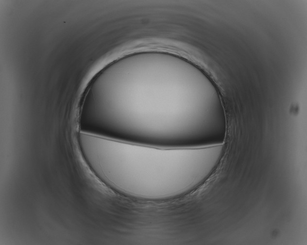 X0000097801522200803140724