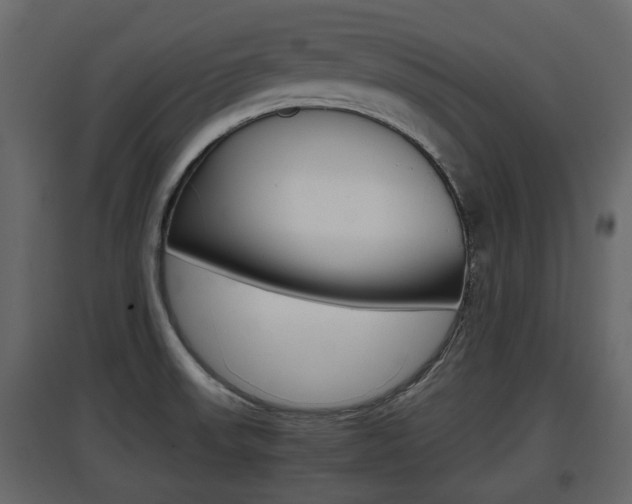 X0000097801523200803140724