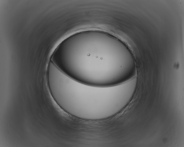 X0000097801524200803140724